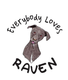 EVERYBODY LOVES RAVEN logo