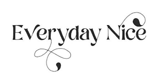 EVERYDAY NICE logo