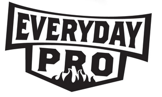 EVERYDAY PRO logo