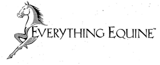 EVERYTHING EQUINE logo