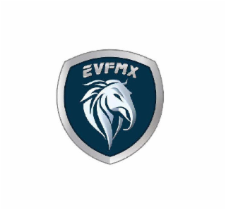 EVFMX logo