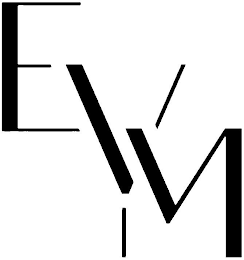 EVM logo