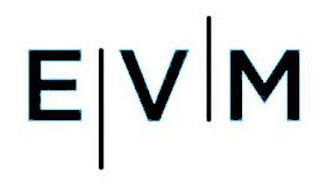 EVM logo