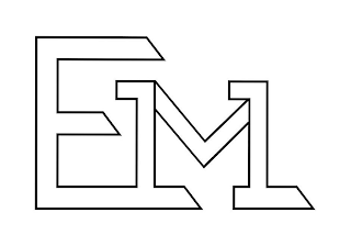 EVM11 logo
