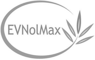 EVNOLMAX logo