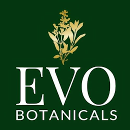 EVO BOTANICALS logo
