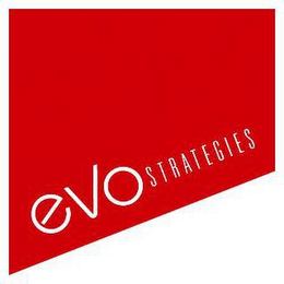 EVO STRATEGIES logo