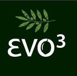 EVO3 logo