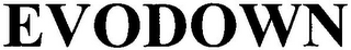 EVODOWN logo