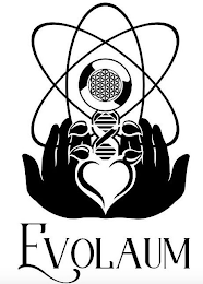 EVOLAUM logo