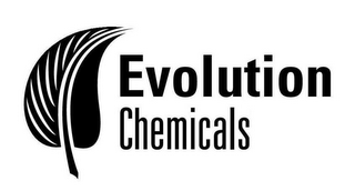 EVOLUTION CHEMICALS logo