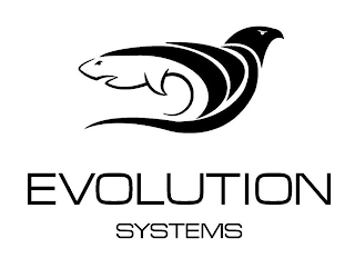 EVOLUTION SYSTEMS logo