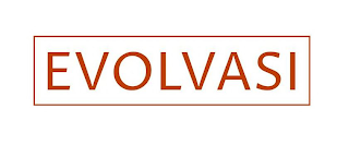 EVOLVASI logo