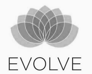EVOLVE logo