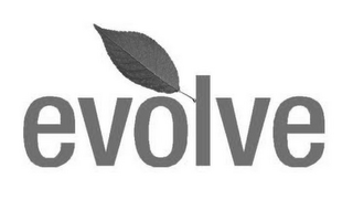 EVOLVE logo