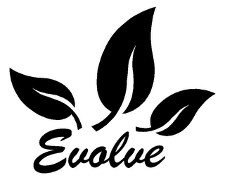 EVOLVE logo