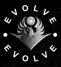 EVOLVE EVOLVE logo