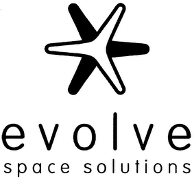 EVOLVE SPACE SOLUTIONS logo