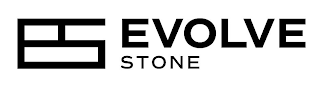 EVOLVE STONE logo