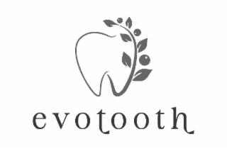 EVOTOOTH logo