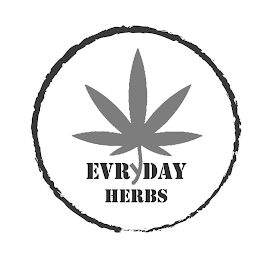 EVRYDAY HERBS logo