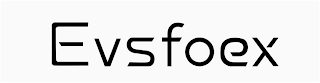 EVSFOEX logo