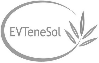 EVTENESOL logo