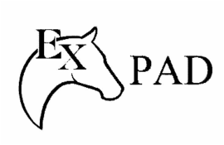 EX PAD logo