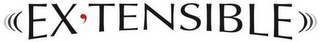 EX TENSIBLE logo