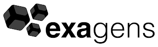 EXAGENS logo