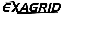 EXAGRID logo