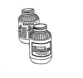 EXAMAID logo