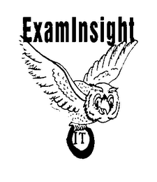 EXAMINSIGHT IT logo