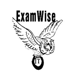 EXAMWISE IT logo