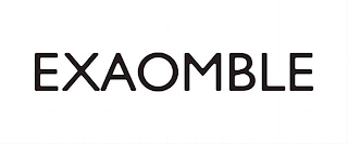 EXAOMBLE logo