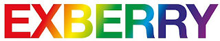 EXBERRY logo