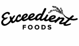 EXCEEDIENT FOODS logo