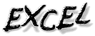 EXCEL logo