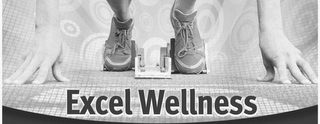 EXCEL WELLNESS logo