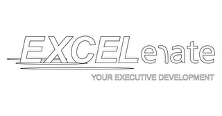 EXCELERATE YOUR EXECUTIVE DEVELOPMENT logo
