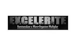 EXCELERITE REMINERALIZER & MICRO-ORGANISM MULTIPLIER logo