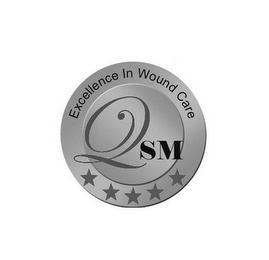 EXCELLENCE IN WOUND CARE QSM logo