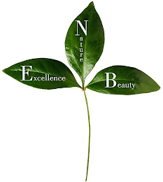 EXCELLENCE NATURE BEAUTY logo