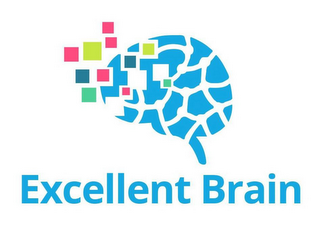 EXCELLENT BRAIN logo