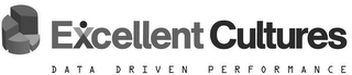 EXCELLENT CULTURES DATA DRIVEN PERFORMANCE logo
