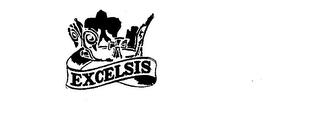 EXCELSIS logo
