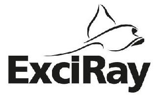 EXCIRAY logo
