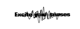 EXCITE YOUR SENSES logo