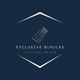EXCLUSIVE BUNDLES EXTRAVAGANT RAW HAIR logo