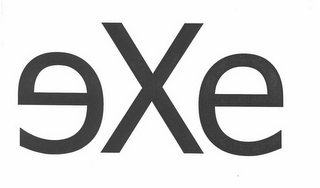 EXE logo